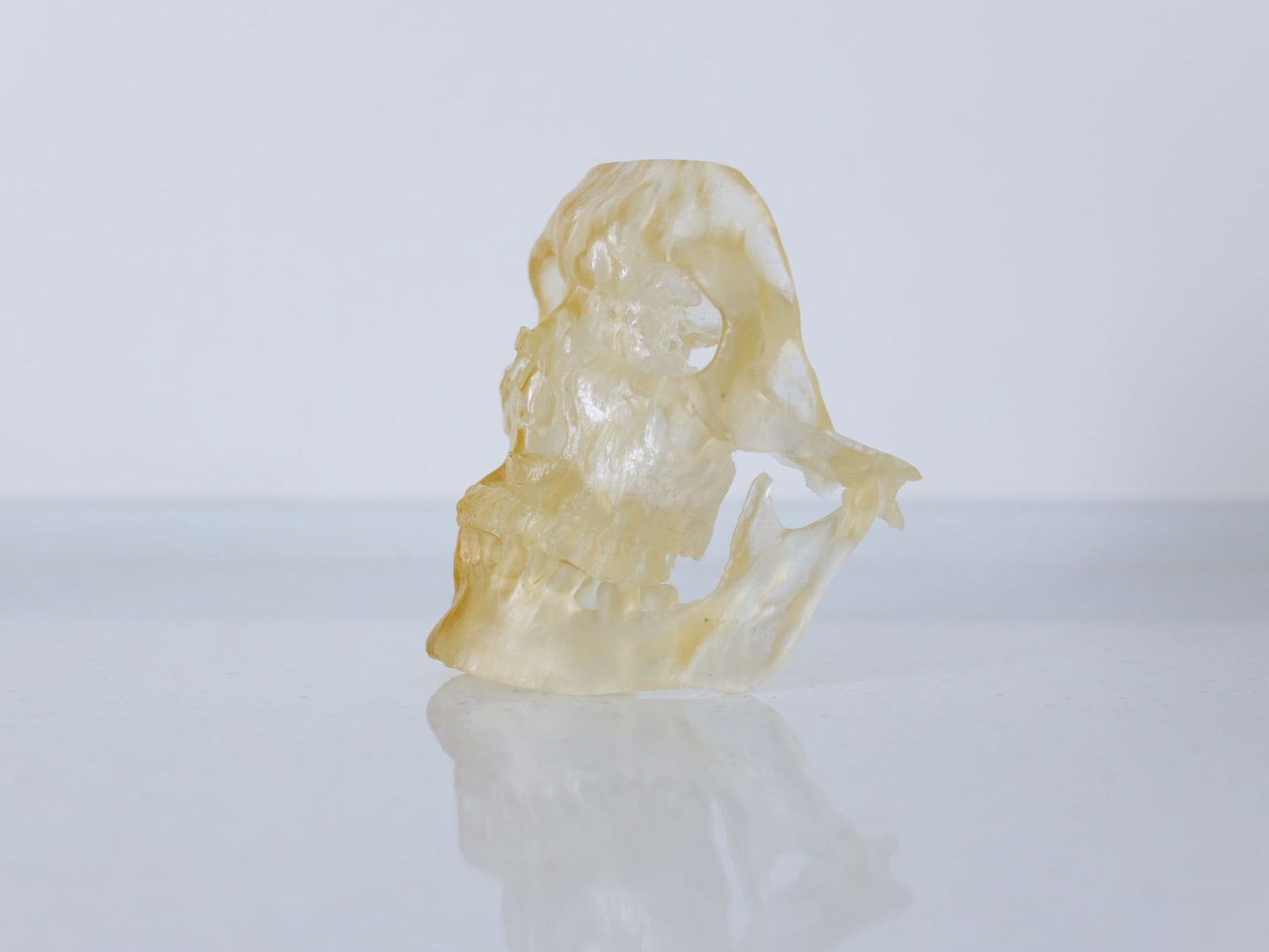 A detailed translucent resin model being produced by an SLA 3D printer.